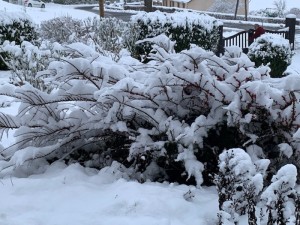 Nos lecteurs ont toujours le bon reflex(e)