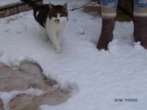 Nos lecteurs ont toujours le bon reflex(e)