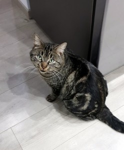 Perdu dans le quartier des Bois Francs