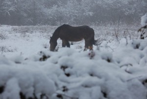 Nos lecteurs ont toujours le bon reflex(e)