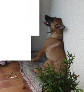 Disparu à Saint-Vallier