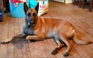 Disparue à Saint-Vallier