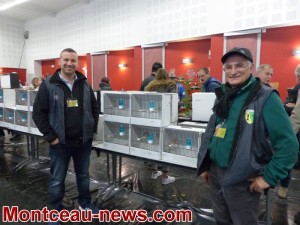 Bourse aux oiseaux ( Sanvignes)