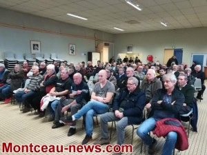 La Gaule Montcellienne