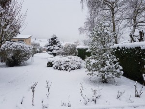 Nos lecteurs ont toujours le bon reflex(e)