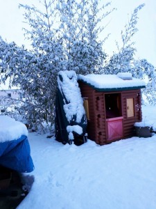 Nos lecteurs ont toujours le bon reflex(e)