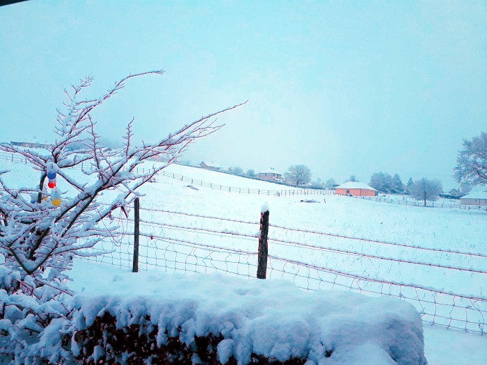 ,neige 2301191