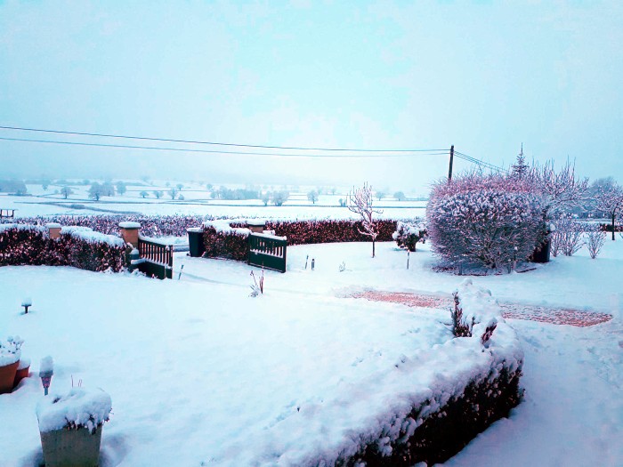 ,neige 2301192