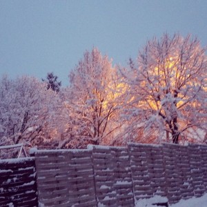 Nos lecteurs ont toujours le bon reflex(e)