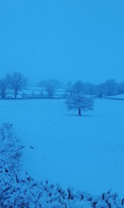 Nos lecteurs ont toujours le bon reflex(e)