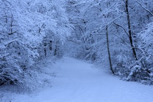Nos lecteurs ont toujours le bon reflex(e)