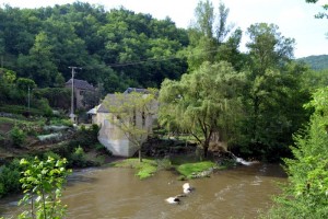 L&rsquo;Ablette Toulonnaise affiche sa bonne santé
