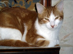 Disparu quartier Rouvrat  (Montceau)