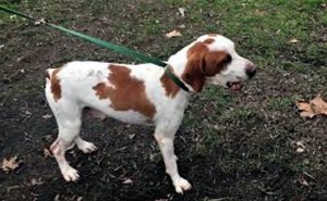 Perdues à La Tagnière