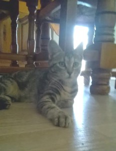 Disparue à Sanvignes