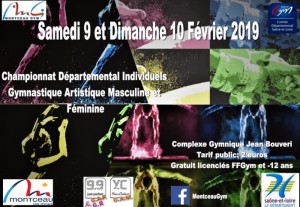 Championnats départementaux Individuels de gymnastique artistique masculine et féminine