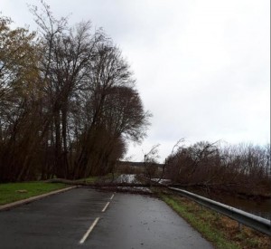 Dégâts dus au vent