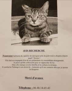 Disparu à Sanvignes