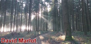 (7) Pèlerinage dans le Morvan pour David Marlot, le montcellien…