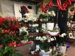 Villaverde (Montceau – Gourdon)