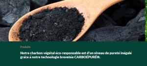Disponible (notamment) en Saône-et-Loire (Economie – Environnement)