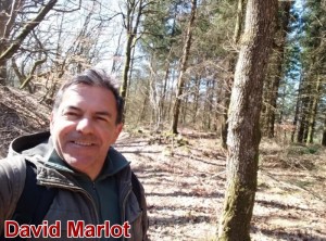 Nouvelle marche de David Marlot