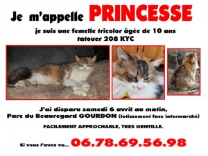 Une « Princesse » disparait à Gourdon