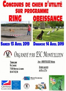 Education & Sport Canin Montcellien