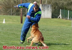 Montceau :  ESCM