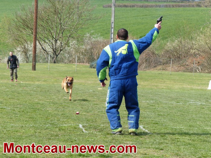 chien 14041915