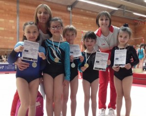 Etoile sportive de Sanvignes (Gym)