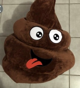 Mascotte perdue à Montceau