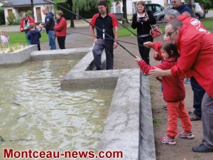 Montceau : Gaule Montcellienne