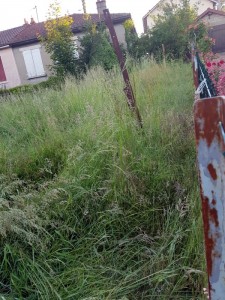 Coup de gueule (Montceau)