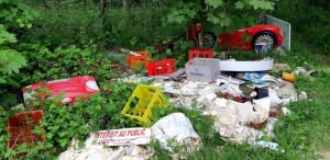 Dépôt sauvage au bois du Leu à Sanvignes (Incivilités)