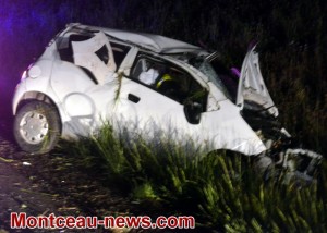 Cette nuit : 3 sangliers tués par une voiture sur la RCEA à l’hauteur de Montceau
