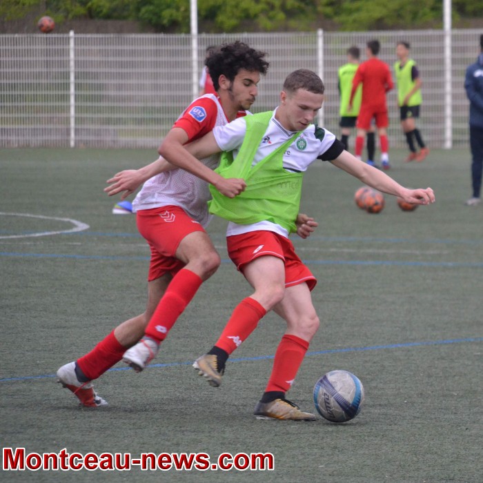 foot 2205198
