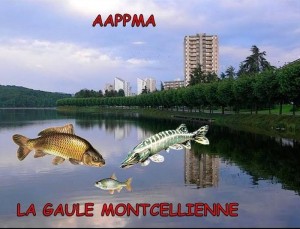 Montceau : La Gaule Montcellienne