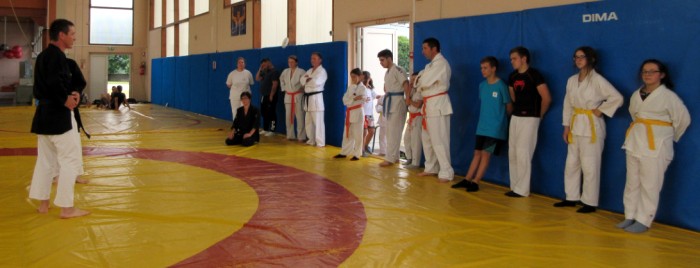 Arts martiaux combat journee day olympique jeux sports fete site web Montceau-news.com 2206194