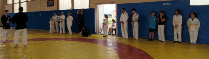 Arts martiaux combat journee day olympique jeux sports fete site web Montceau-news.com 2206196