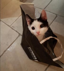 Disparition à Pouilloux