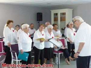 Montceau : Peupliers