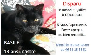 Chat disparu à Gourdon