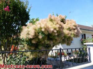 Sanvignes