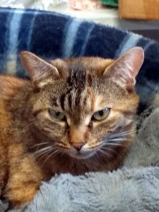 Recherche « Gastounette »