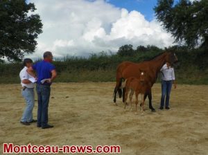 Blanzy : Association d&rsquo;éleveurs locaux et régionaux