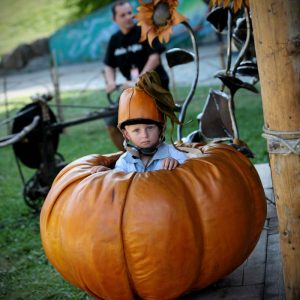 Saint-Vallier : Festival des Queulots Folies 10 bougies pour le Festival