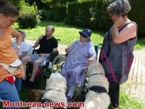 Saint-Vallier :  Les Lys