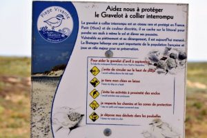 Faune en danger