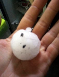 Photos des dégâts suite à un orage de grêlons à  Issy-l’Evêque
